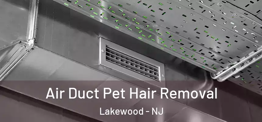  Air Duct Pet Hair Removal Lakewood - NJ