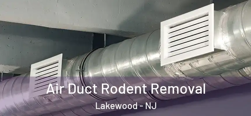  Air Duct Rodent Removal Lakewood - NJ