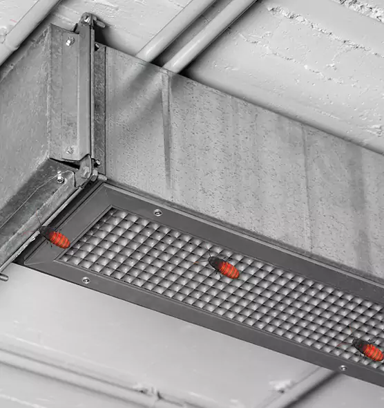Affordable Insect Removal from Air Ducts in Lakewood, NJ