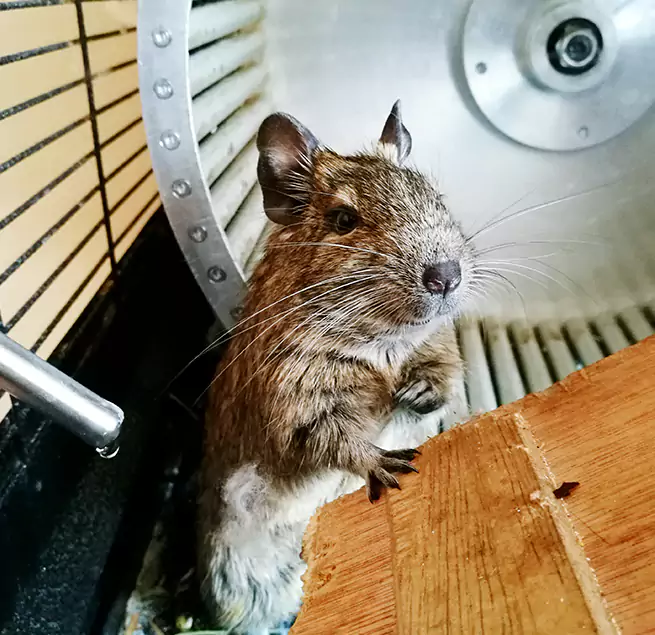 Why Homeowners & Businesses Trust Us Lakewood, NJ?